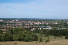 IMG_4433