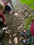 IMG-20260509-WA0002