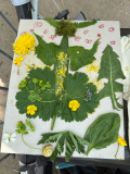 IMG-20260509-WA0003